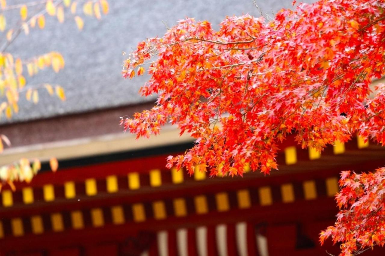 Stay SAKURA 京都　扇 外观 照片